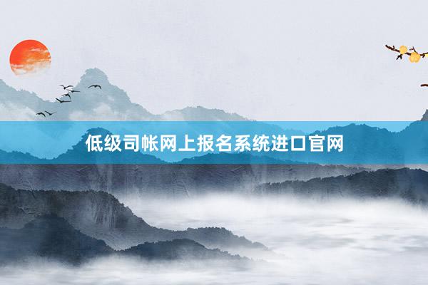 低级司帐网上报名系统进口官网