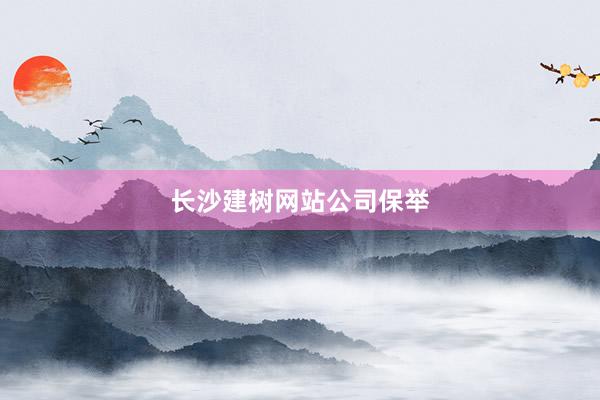 长沙建树网站公司保举